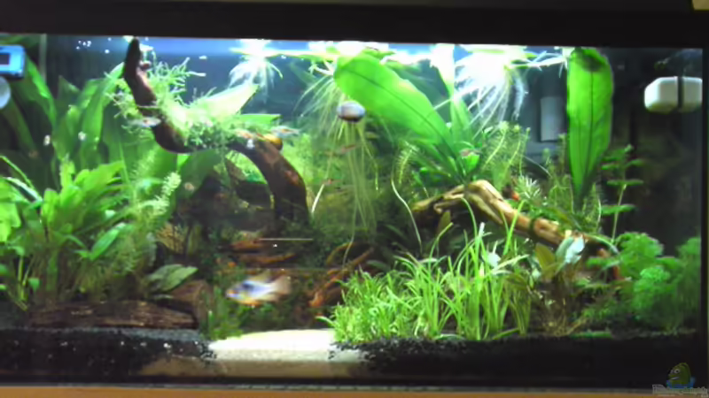 Eingerichtet am 14.10.06 von Ingeborg Bohry (1)