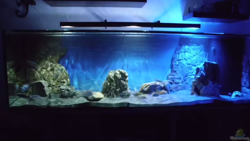 Eingerichtet von Noah (7)