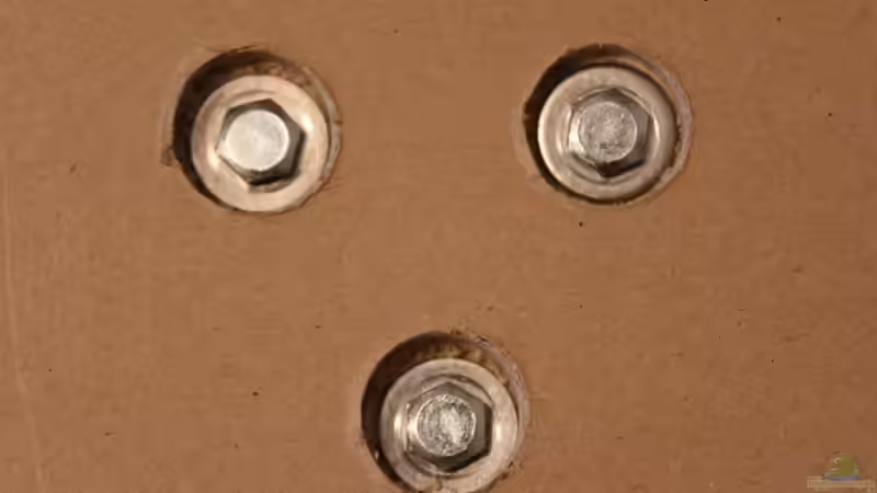 eingeschraubt von Cruiser Bruno (18)