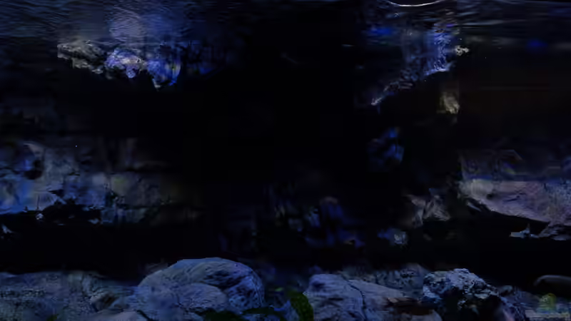 Einhangfelsen von Frank Hopp (10)