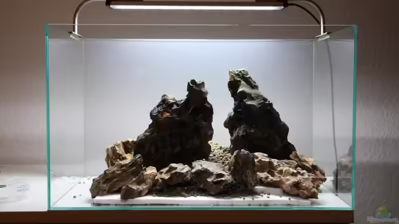 Einige kleine Steine werden ergänzt. von Arami Gurami (12)