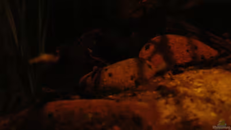 einige Steine_23.05.2014 von Südamerikafreak BK (29)