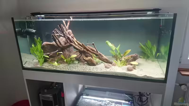 einige Tage nach der Befüllung von Philip (5)