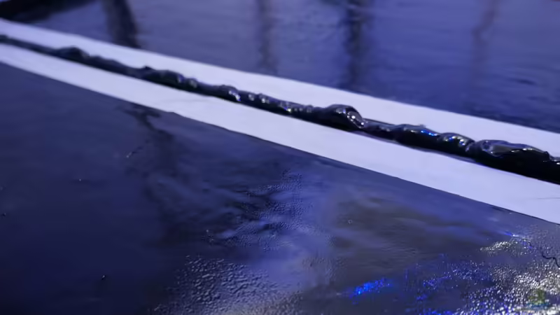 einkleben der Bodenplatte von tattooindi (7)