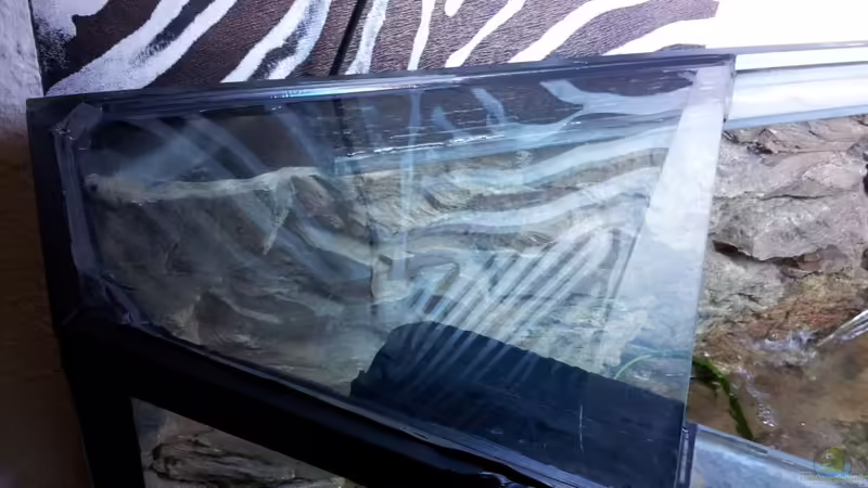 einkleben der Eckzugstreben von tattooindi (11)