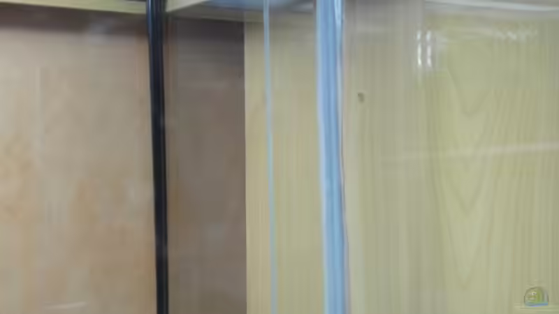 Einkleben der Glasstreifen 1 von Marci (3)