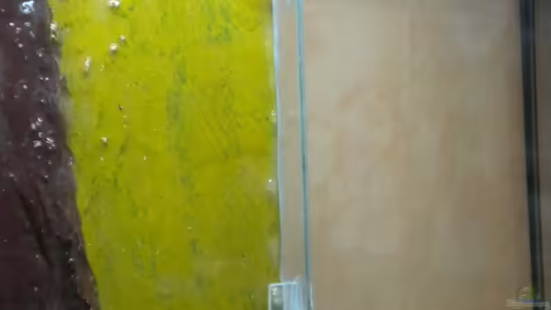 Einkleben der Glasstreifen 2 von Marci (4)