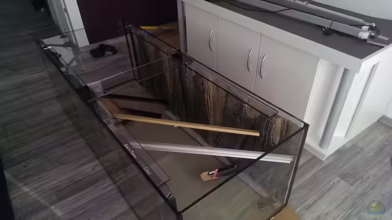 Einkleben der Slim Line Amazonas von Seemann (19)