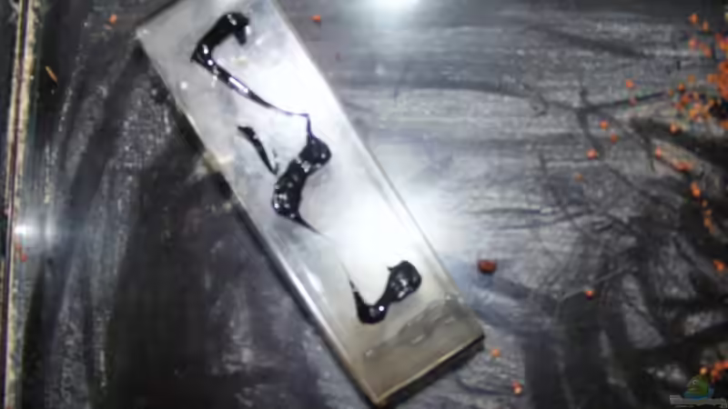 Einkleben einer Makrolonerhöhung mit Neigung von Falk (7)