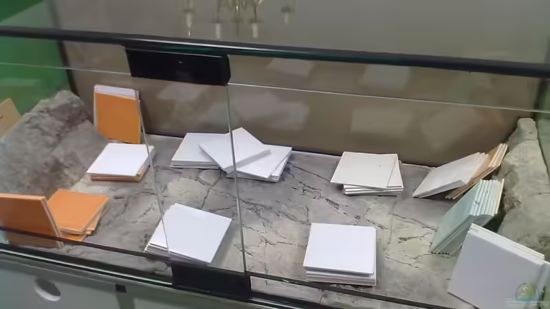 einkleben von Modul C (geteilt) und der Slimline  von A. Schmidt (13)