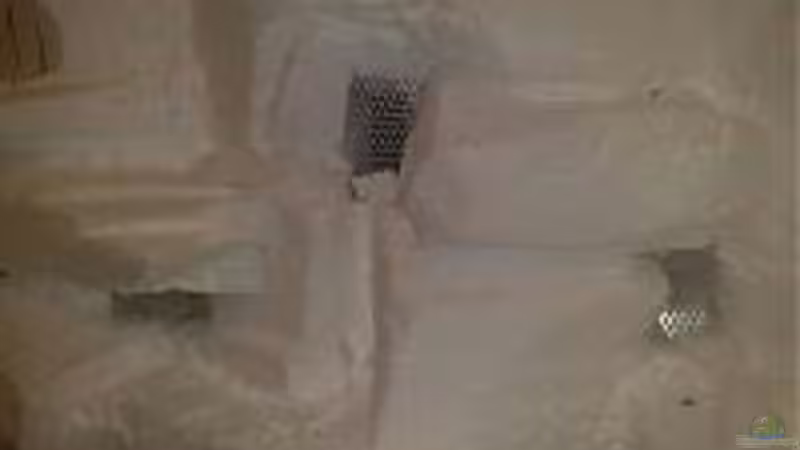 Einlässe von Zigermandli (13)