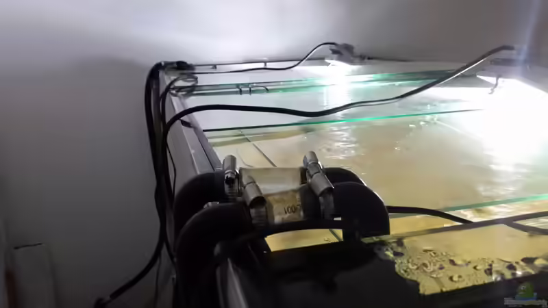 Einlass geändert linke Seite von Bernd N. (69)