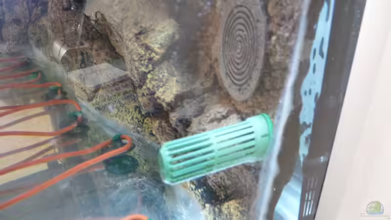 Einlaß Rückwand, Ansaugrohr Aussenfilter von Guzzi-Werner (9)