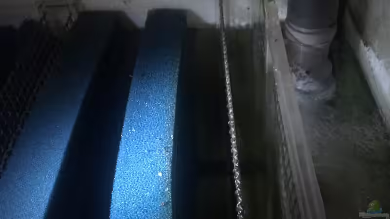 Einlauf aus AQ von Dicrossus (7)