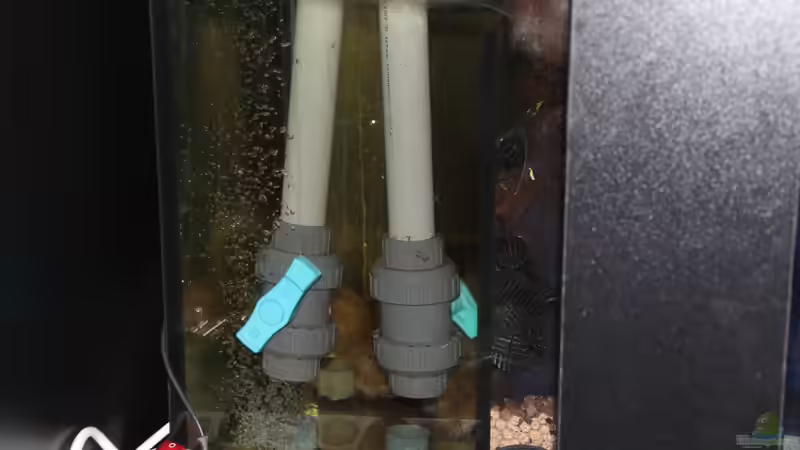 Einlauf ins Filterbecken von Diskusfreak26 (4)