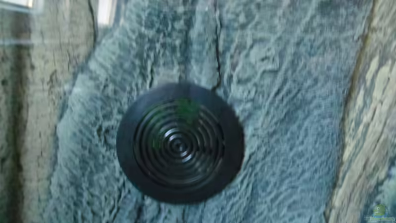 Einlauf von Ruppinho (3)