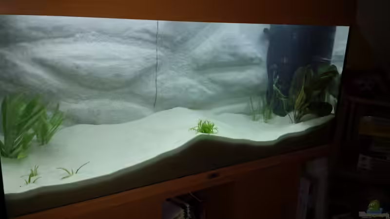 Einlaufen von SoNiC (3)