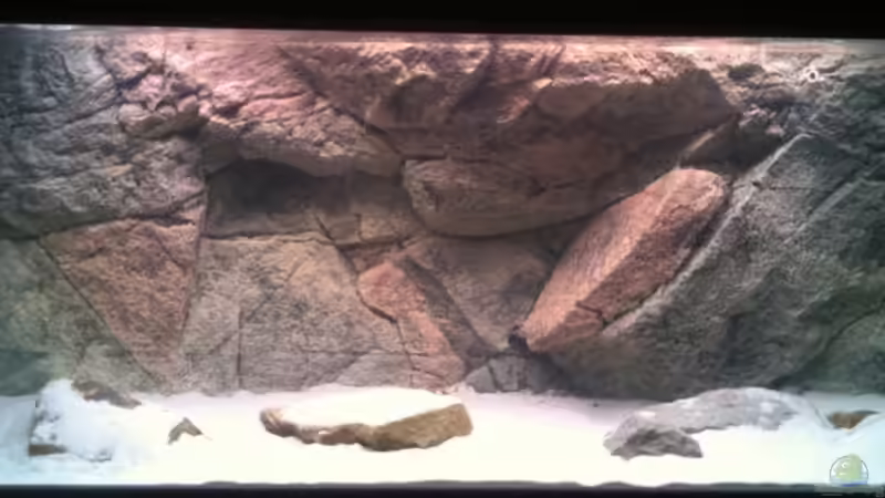 Einlaufphase 2. Tag, das Wasser ist bereits sehr klar von TheToxicAvenger (15)