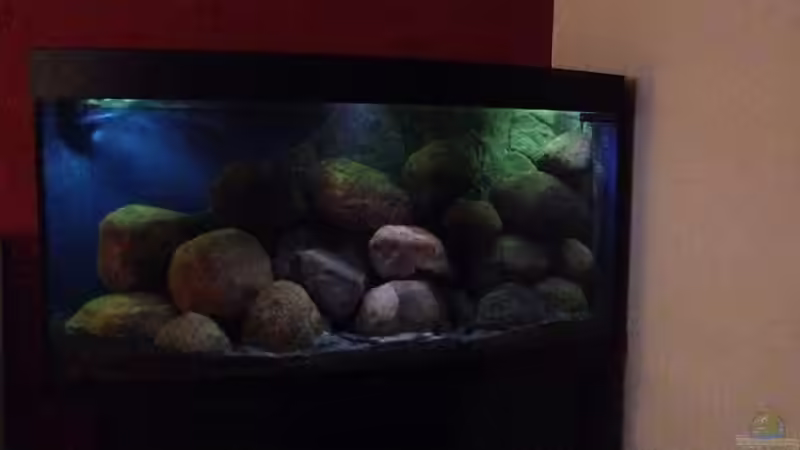 einlaufphase ab dem 16.12.13 bis dato von Torge Arp (2)