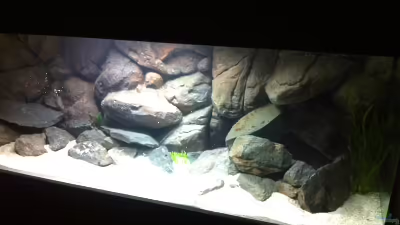 Einlaufphase ohne Fische (altes Bild) von Sunny73 (17)