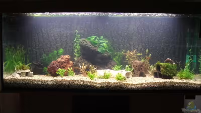 Einlaufphase seit 30.09. von Tiger1309 (1)