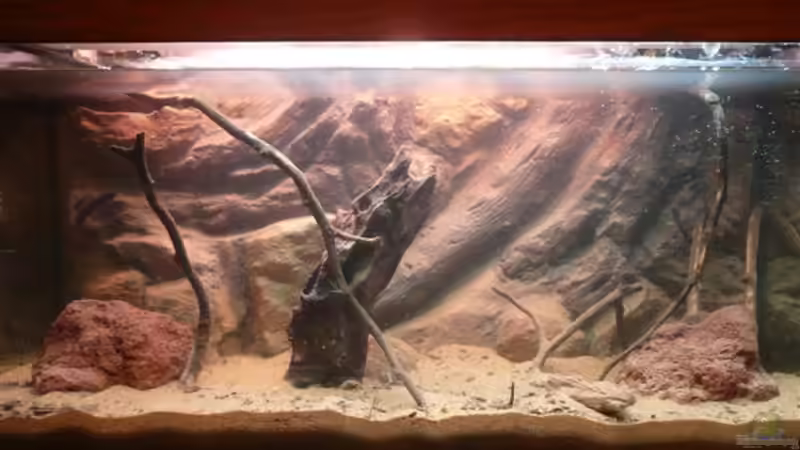 Einlaufphase von Andreas Fuchs (11)