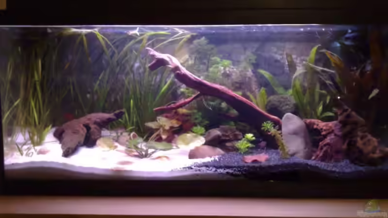 Einlaufphase von Chris (2)