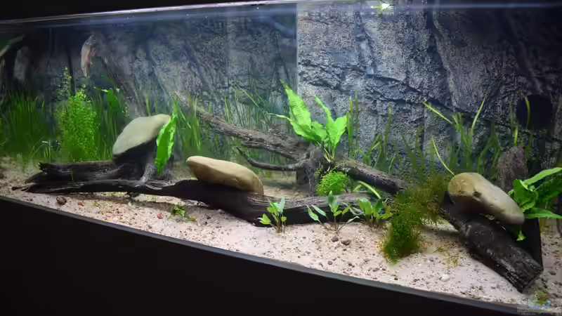 Einlaufphase von Christian Andreas (4)