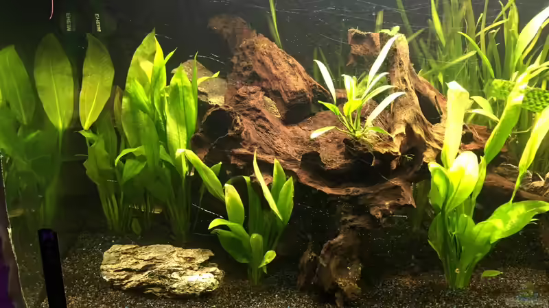 Einlaufphase von Marius Stößer (38)