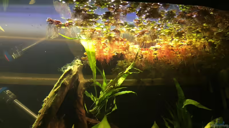 Einlaufphase von Marius Stößer (41)