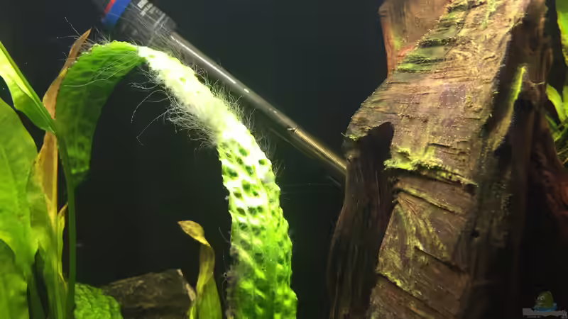 Einlaufphase von Marius Stößer (43)