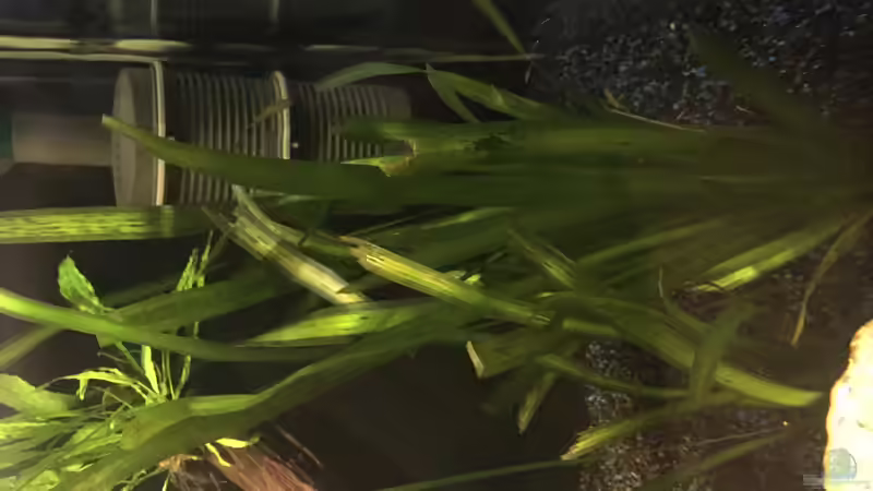 Einlaufphase von Marius Stößer (57)