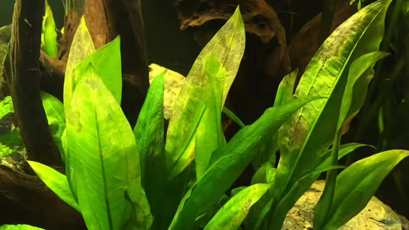 Einlaufphase von Marius Stößer (59)