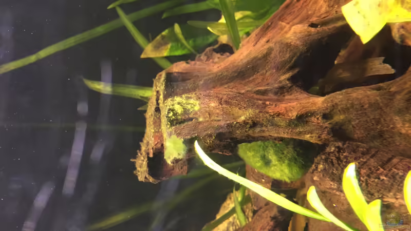 Einlaufphase von Marius Stößer (68)