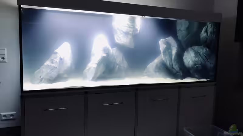 Einlaufphase von P4TR1CK (6)