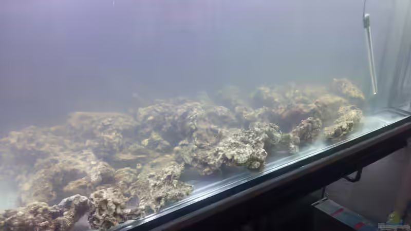 Einlaufphase von slobe (29)