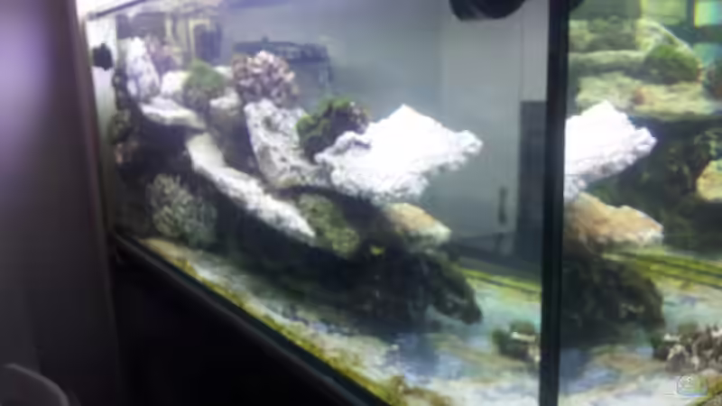 Einlaufphase von slobe (34)