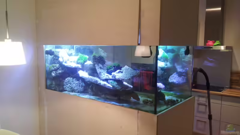 Einlaufphase von slobe (40)