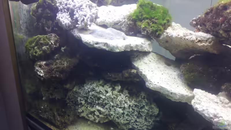 Einlaufphase von slobe (43)