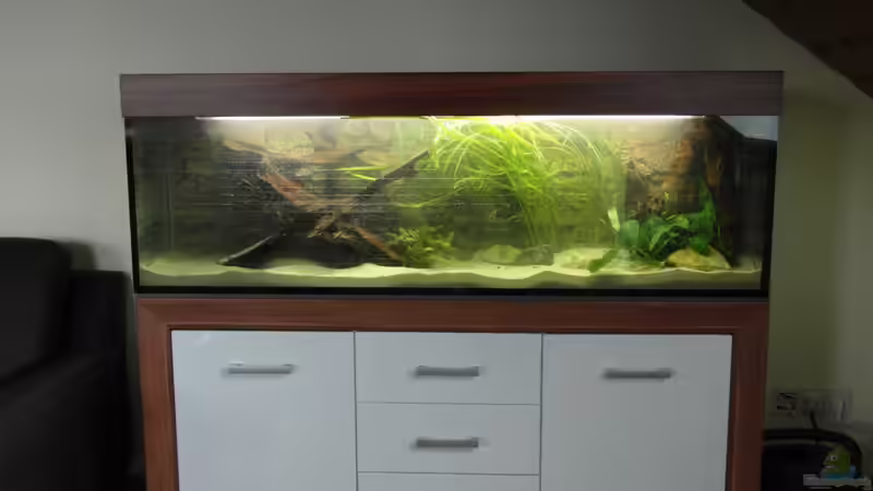 Einlaufphase!!! von Tom G. (1)