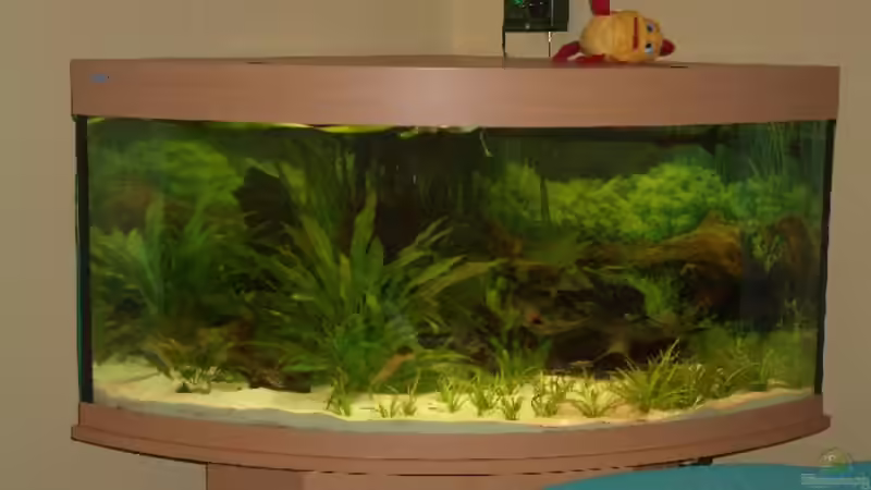 Einlaufphase von VL (5)