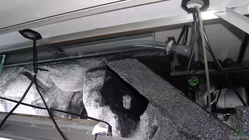 Einlaufschlauch von Filterbecken hinter Rückwand von bossie1704 (24)