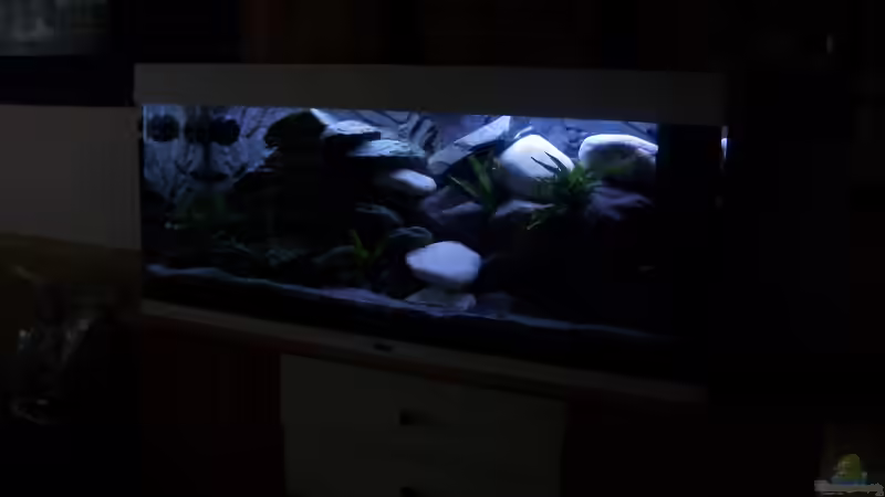 Einlaufzeit... von Malawi-Anfänger (6)