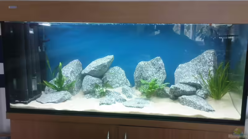 einlaufzeit tag 4 von marco_0 (5)