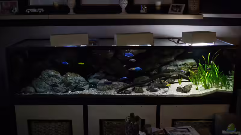 einmal das ganze Becken im Bild .. hier sieht man die minimale Beleuchtung in den Beleuchtungsboxen! von AjakAndi (3)