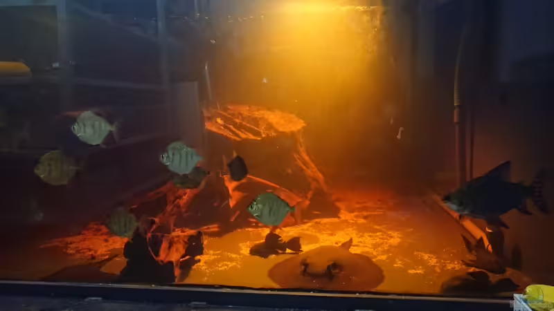 einmal die Totale von kellerkind (75)