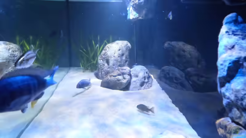 Einmal quer bitte von Okrim (5)