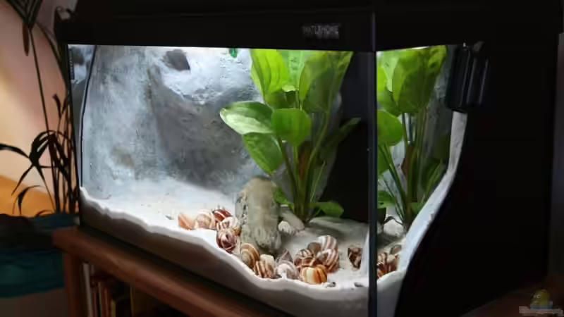 Einmal von der Seite von Marco Vasev (10)