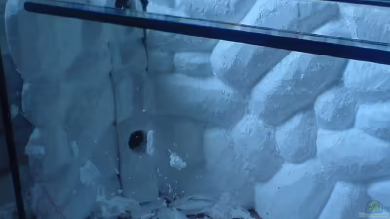 Einpassen des Styropor von ptobias (2)