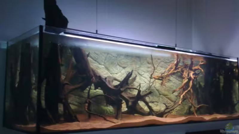 Einrichten von Blue2 (11)